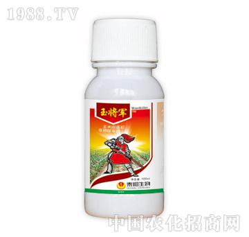 ��܊-̩�(y��ng)