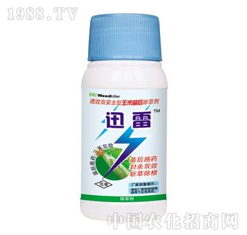 Ѹ��-̩�(y��ng)