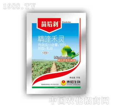 15%��୺��`-���-̩�(y��ng)