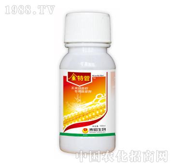 ���ع�-̩�(y��ng)