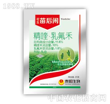 11.8%��������-����e-̩�(y��ng)