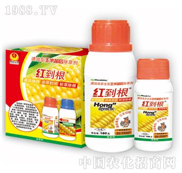 �t����-̩�(y��ng)