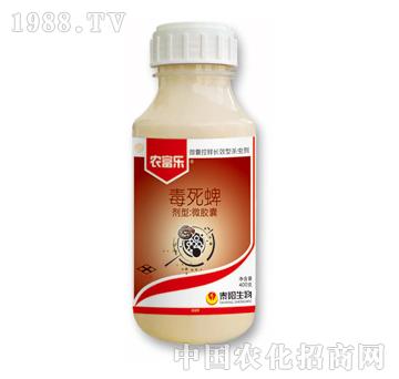 ������-�r����-̩�