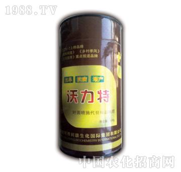 ������-̩�