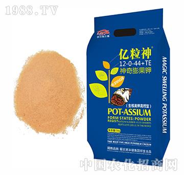 �|����������⛸��}��12-0-44+TE-�����r��