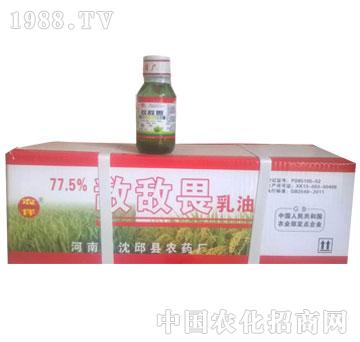 77.5%����η����-