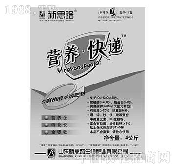 ��˼·-�I(y��ng)�B(y��ng)���f4����