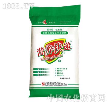 ��˼·-�I(y��ng)�B(y��ng)���f12-0-8