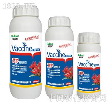 ���oֲ��������������-�J�~��