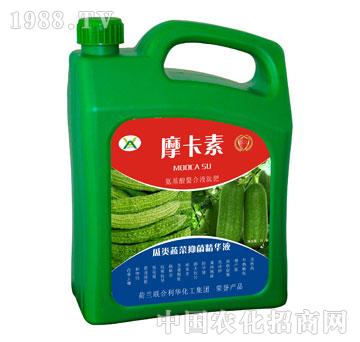 ����߲��־����AҺ-Ħ