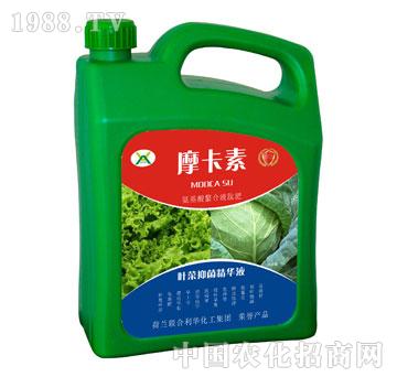 �~���־����AҺ-Ħ����