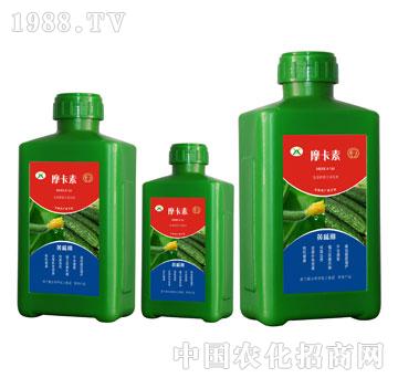 �S�ό��ð���������Һ�ķ�-Ħ����-��о���H