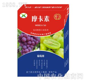 ���ь��ð���������Һ��