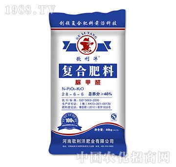 ���ȩ�ͺϷ���28-6-6-������