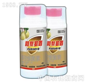 ����ʭ��-�°��r��