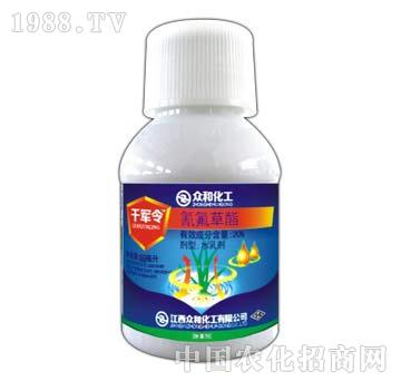 20%�������-ǧ܊��-����