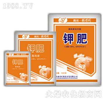 ⛷�-�ڵ���