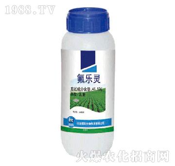 45.5%����(l��)�`-�x��