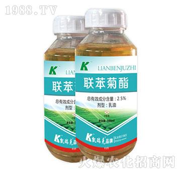 2.5%(li��n)������-�P���