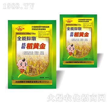 �������S��-ȫ���ֶ�-���