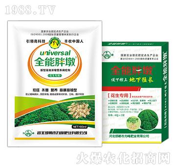 ��������-ȫ���ֶ�-���