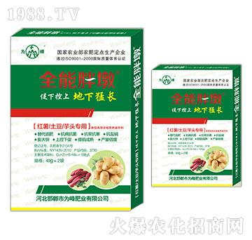 �t�������������^����-ȫ���ֶ�-���