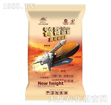 ����ʢ��-�����������