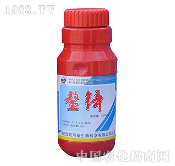 ���\-�W��˹