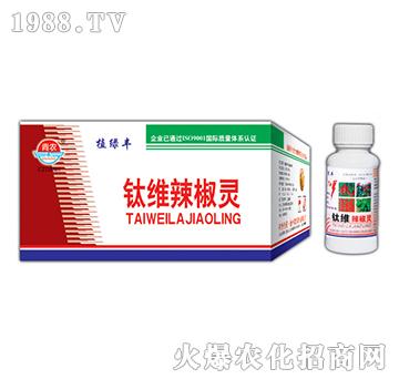 80g⁾S�����`-�挚�r(n��ng)��