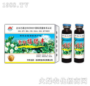 24g���ֲ�G�S-�挚�r(n��ng)��