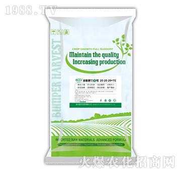 ����Ԫ��ˮ�ܷ���20-20-20+TE-���ܷ���1̖-�Մ�(chu��ng)