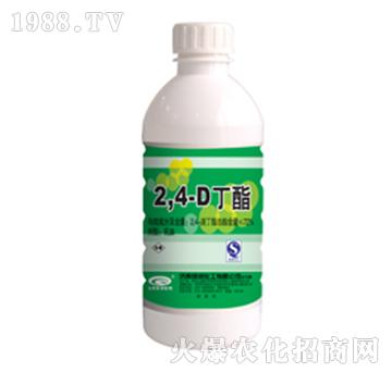 72%2��4�ζ���-�G��