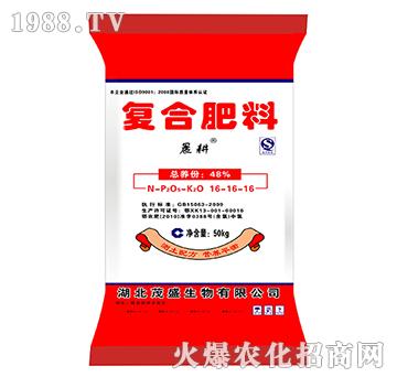 �ͺϷ���16-16-16-����-ïʢ