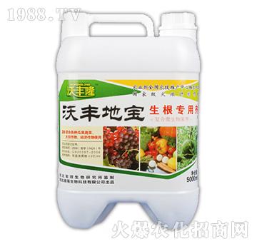 ���S�،����������Ä���-���S¡-��