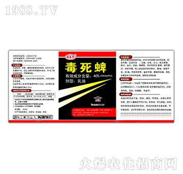 40%������-��̩��