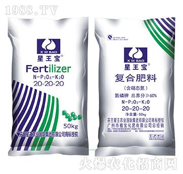 �����B(t��i)����(f��)�Ϸ���20-20-20-������-ֲ������