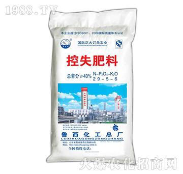 ��ʧ����29-5-6-��������