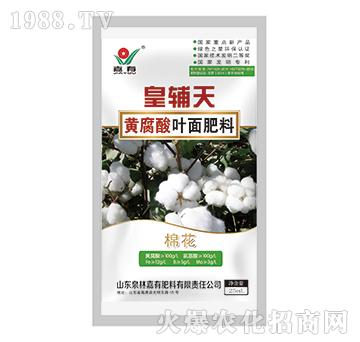 ���o���S�����~����ϣ�