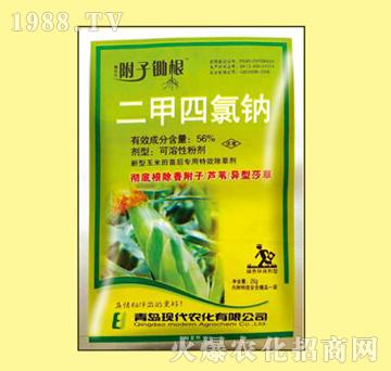 56%���������c-���ӳ���-嫘���