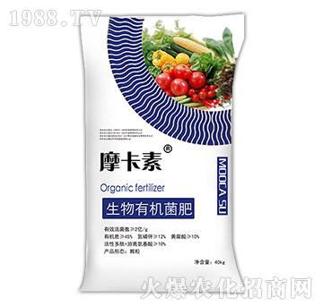 �����ЙC(j��)����-Ħ����-��(qi��ng)о��(gu��)�H