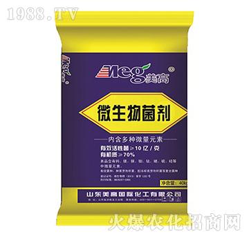 ΢�������-����