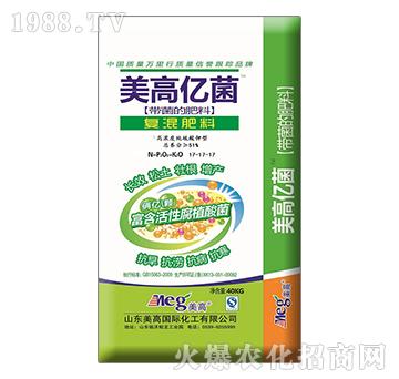 ���߃|����(f��)�����17-17-17-����