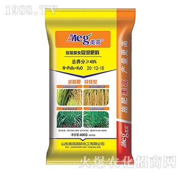 ��ȩ��ʧ��(f��)�����20-12-16-����