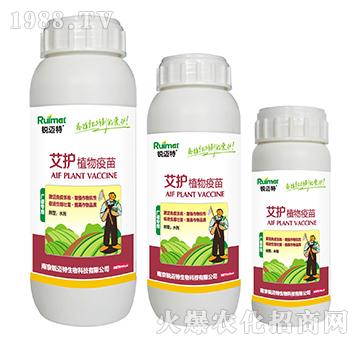 ���oֲ�����磨�V�V�ͣ�-�J�~��