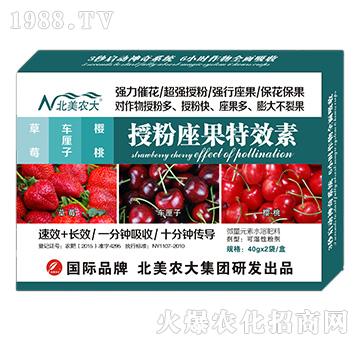 ��ݮ��܇�����������ڷ�������Ч��-�����r(n��ng)��