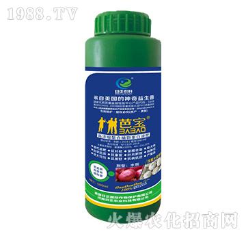 ���[���⌣��-�ߝ�s��