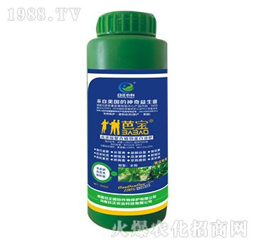 �S�ό���-�ߝ�s����ֲ