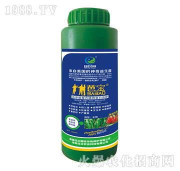 ��������-�ߝ�s����ֲ