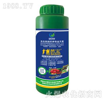 �߲ˌ���-�ߝ�s����ֲ