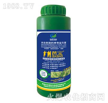 С������-�ߝ�s����ֲ